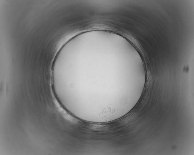 X0000112371439200909101311