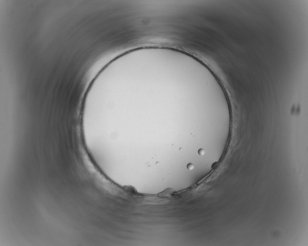 X0000112371440200909101311