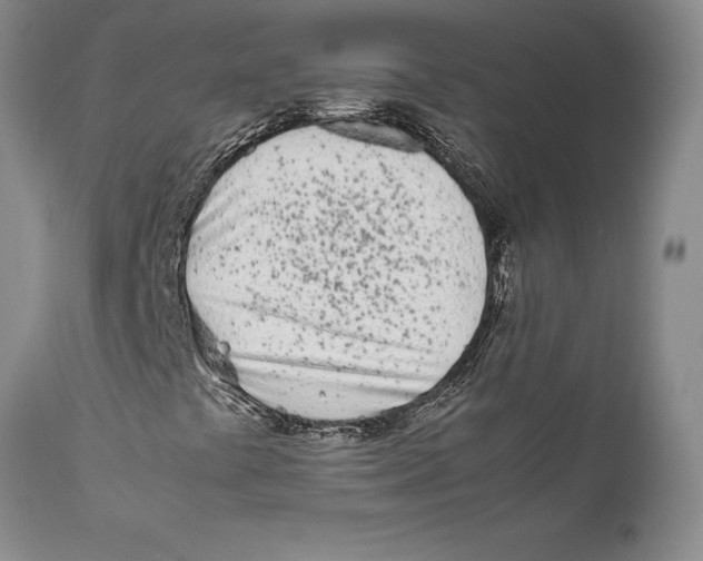 X0000112371441200909101310