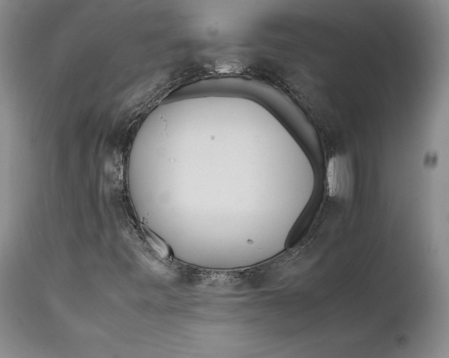X0000112371443200909101310