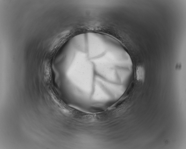 X0000112371444200909101310