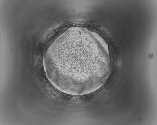 X0000112371445200909101310