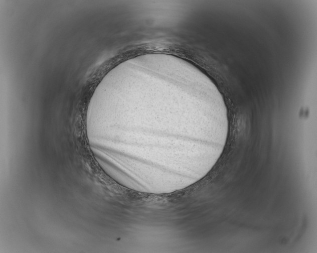 X0000112371446200909101310