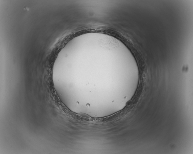 X0000112371447200909101310