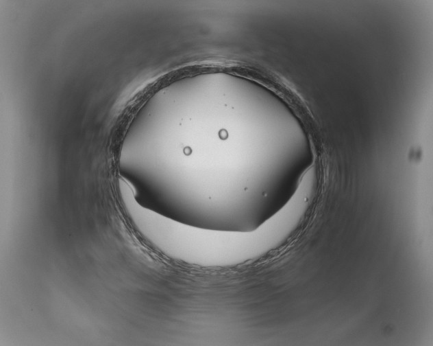 X0000112371448200909101310