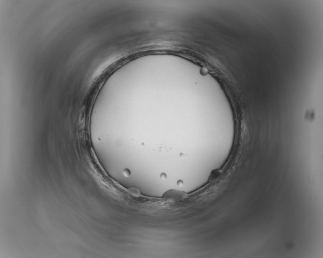 X0000112371450200909101310