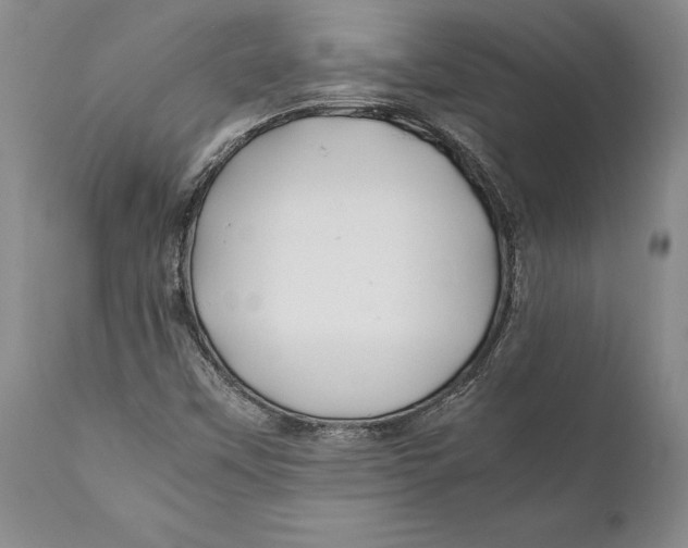 X0000112371451200909101310