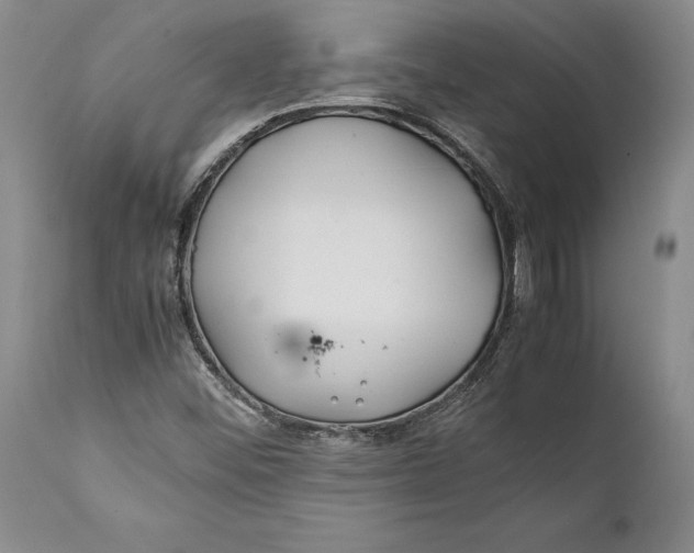 X0000112371452200909101310
