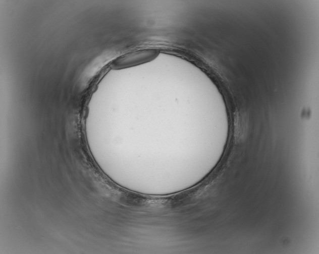X0000112371453200909101310