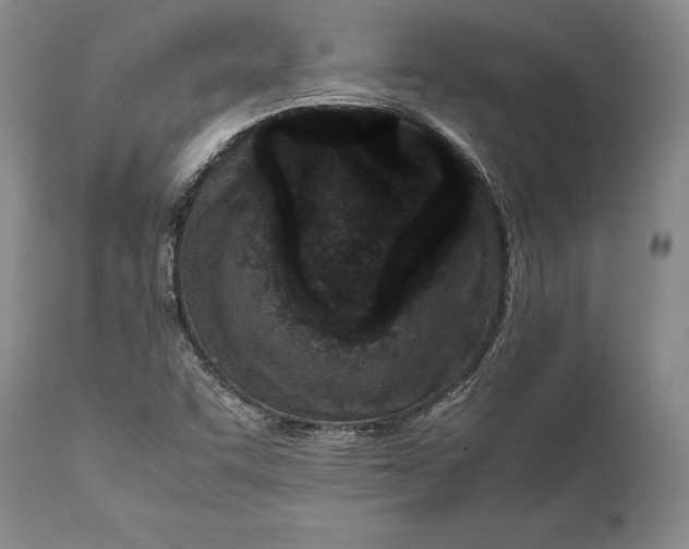 X0000112371455200909101310
