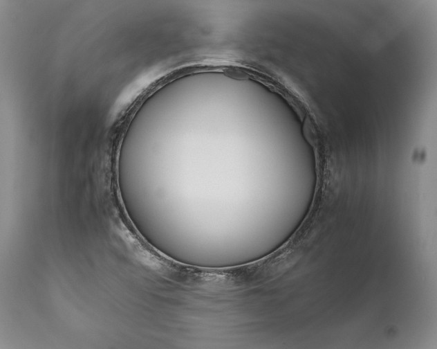 X0000112371456200909101310