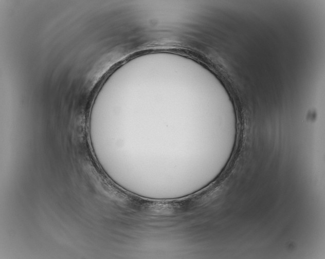 X0000112371457200909101310