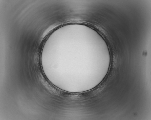 X0000112371458200909101310