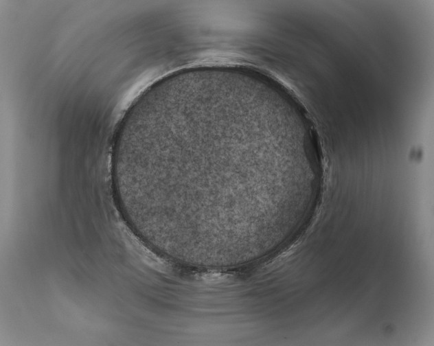 X0000112371459200909101310