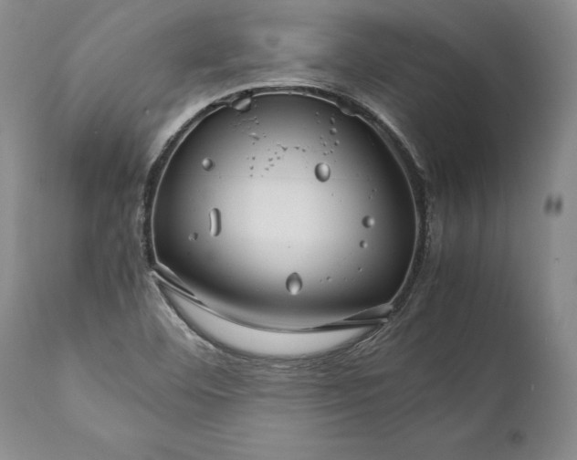 X0000112371460200909101310