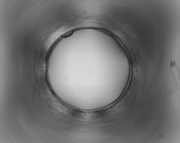 X0000112371461200909101310