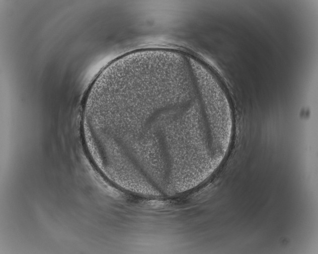 X0000112371463200909101310