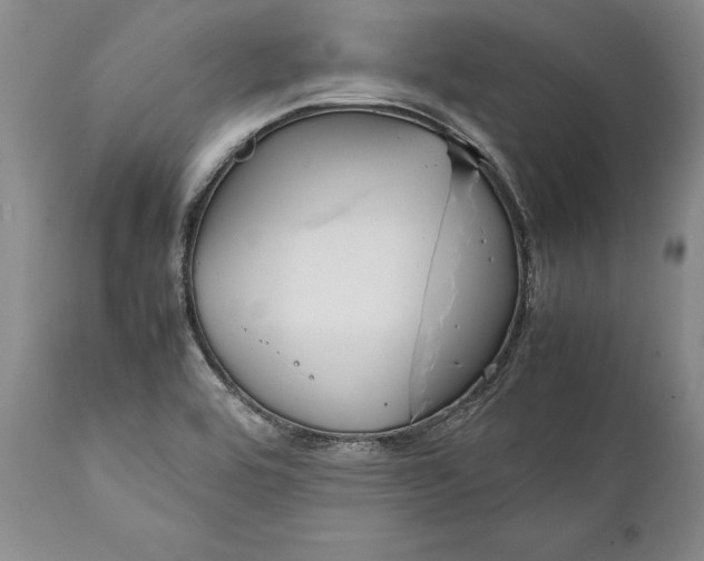X0000112371464200909101310