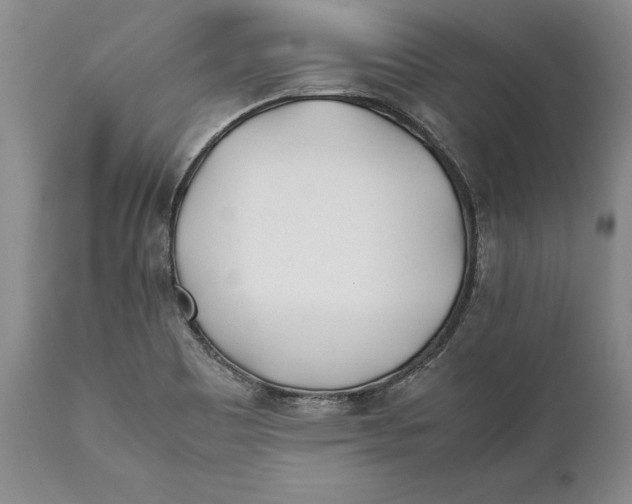 X0000112371465200909101310