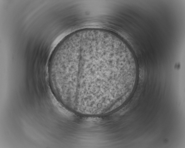 X0000112371466200909101310