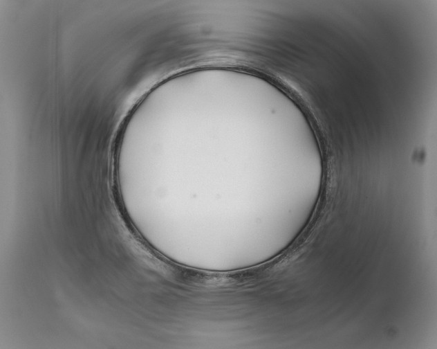 X0000112371467200909101310