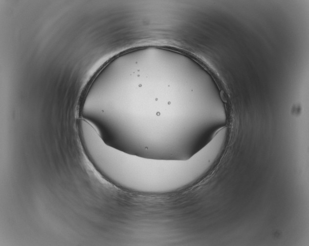 X0000112371468200909101310