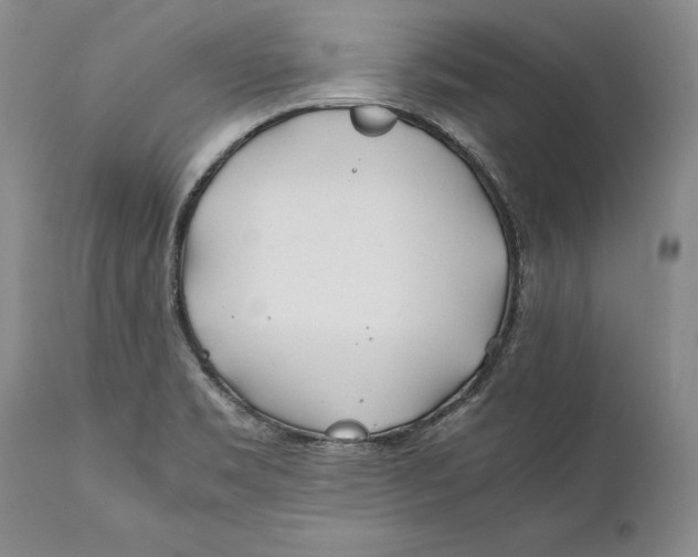 X0000112371469200909101310