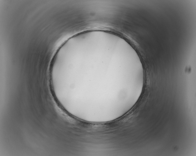 X0000112371471200909101310