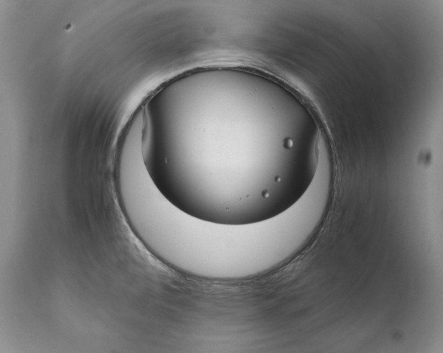X0000112371472200909101310