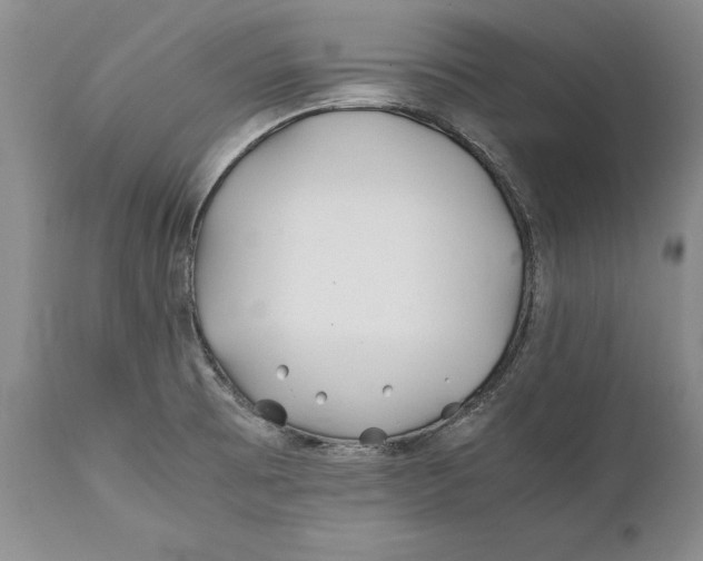X0000112371473200909101310
