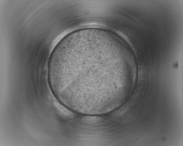 X0000112371474200909101310