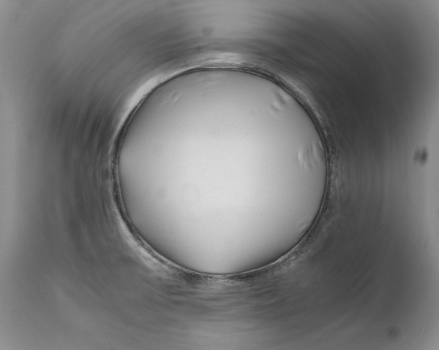 X0000112371475200909101310
