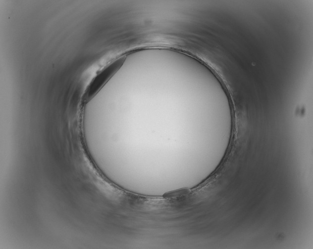 X0000112371477200909101310