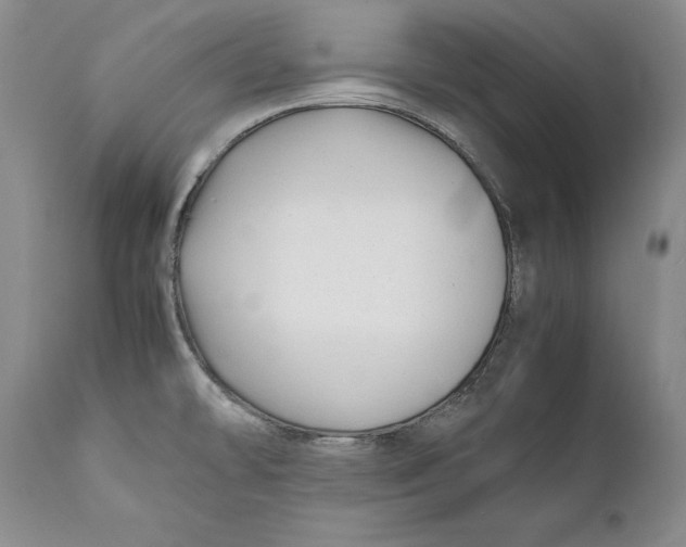 X0000112371478200909101310