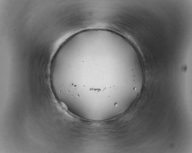 X0000112371480200909101310