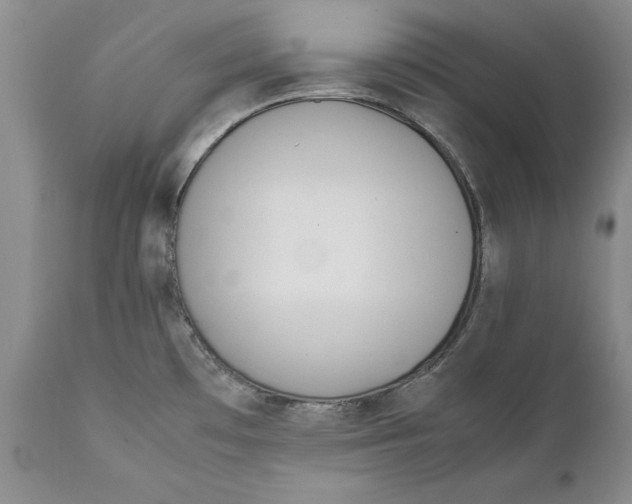 X0000112371481200909101310