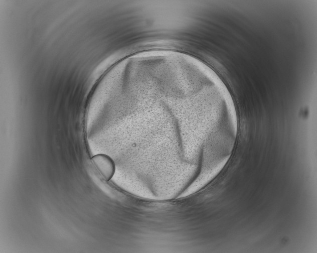 X0000112371482200909101310