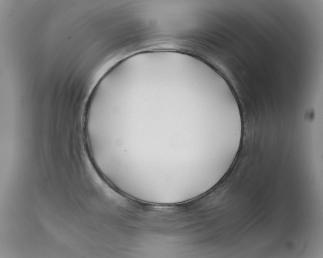 X0000112371483200909101310