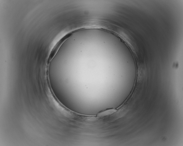 X0000112371484200909101310