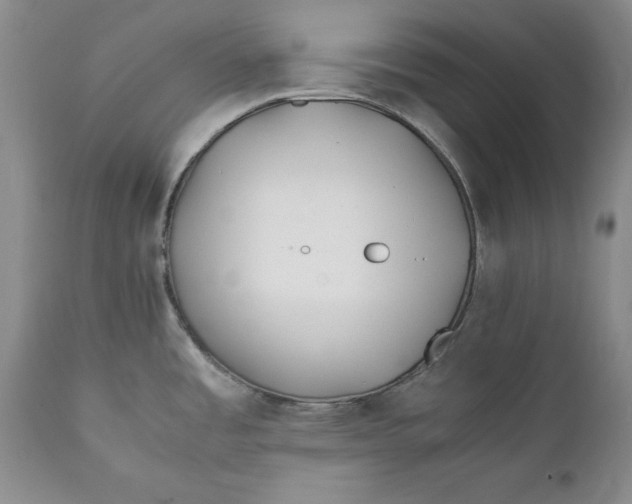 X0000112371485200909101310
