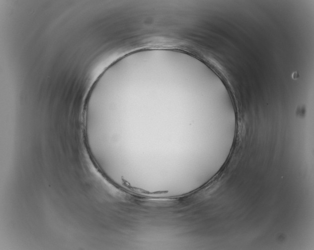 X0000112371487200909101310