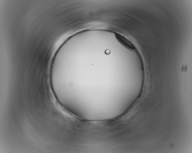 X0000112371488200909101309