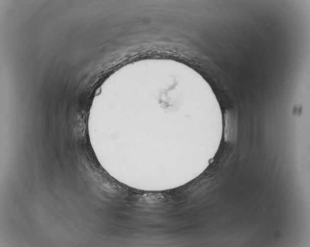X0000112371491200909101309