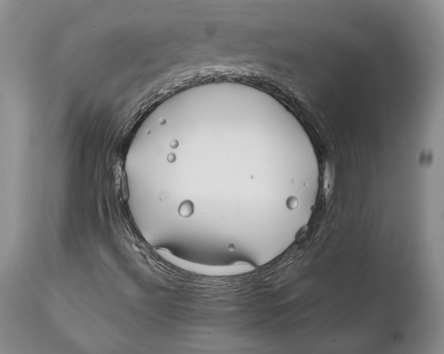 X0000112371492200909101309