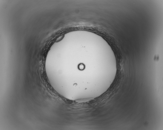 X0000112371493200909101309