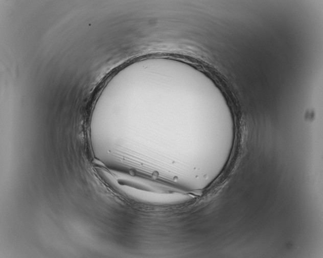 X0000112371497200909101309