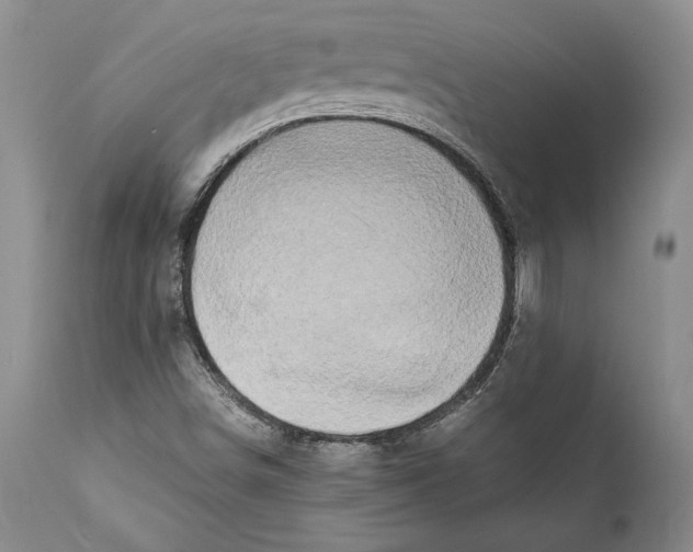 X0000112371498200909101309