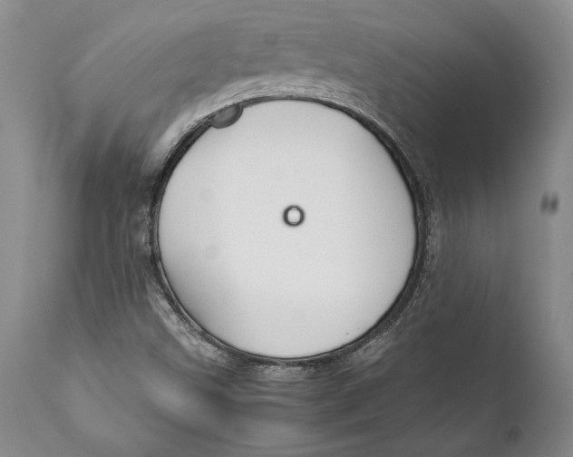 X0000112371499200909101309