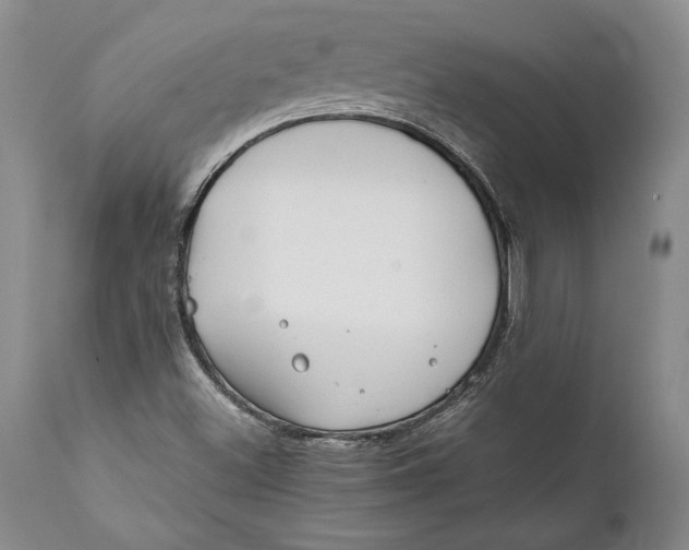 X0000112371500200909101309