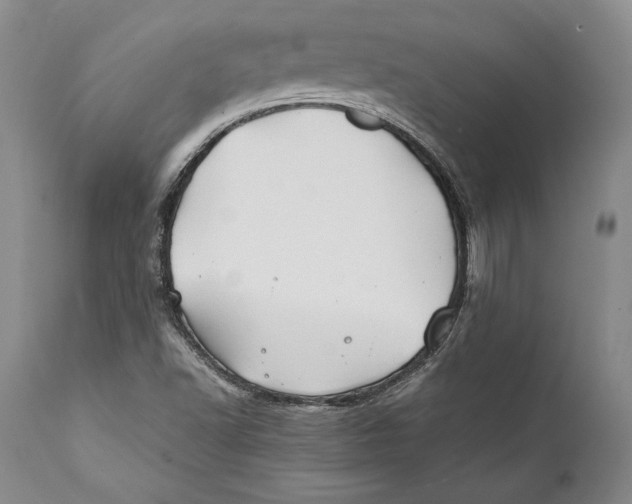 X0000112371502200909101309